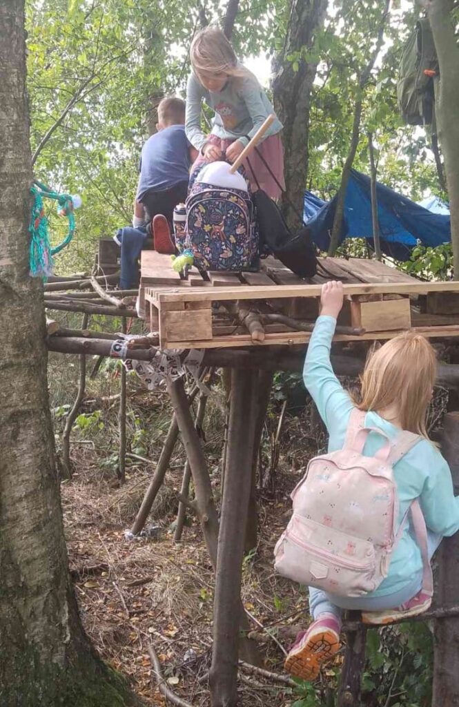 whatsapp image 2025 11 13 at 20.33.10